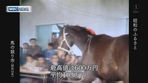 1978 馬|生年[1978]の競走馬検索結果｜競馬データベー